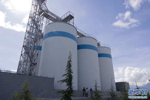 拉薩經開區 技術開發驅動高原特色產業升級