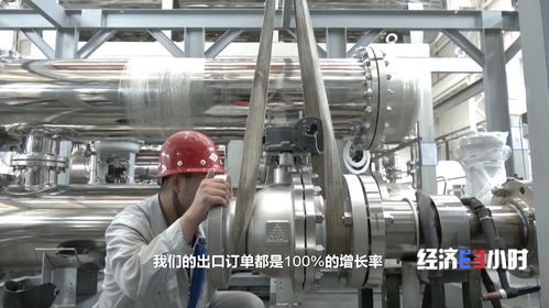 爆發(fā)式增長(zhǎng) 國(guó)產(chǎn)氫能產(chǎn)品 火 到國(guó)外 售價(jià)僅為歐洲同類產(chǎn)品一半